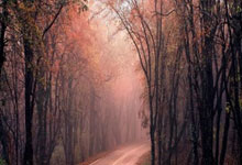 Live Updates Updated Wed, Dec 10 20257:11 PM EST Share Share Article via Facebook Share Article via 