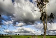 AI Ultra users gain access to Gemini 3 Deep Think mode