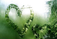 Google suddenly cuts the free version of Gemini, causing an uproar. Is data used for model training 