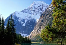 Google suddenly cuts the free version of Gemini, causing an uproar. Is data used for model training 